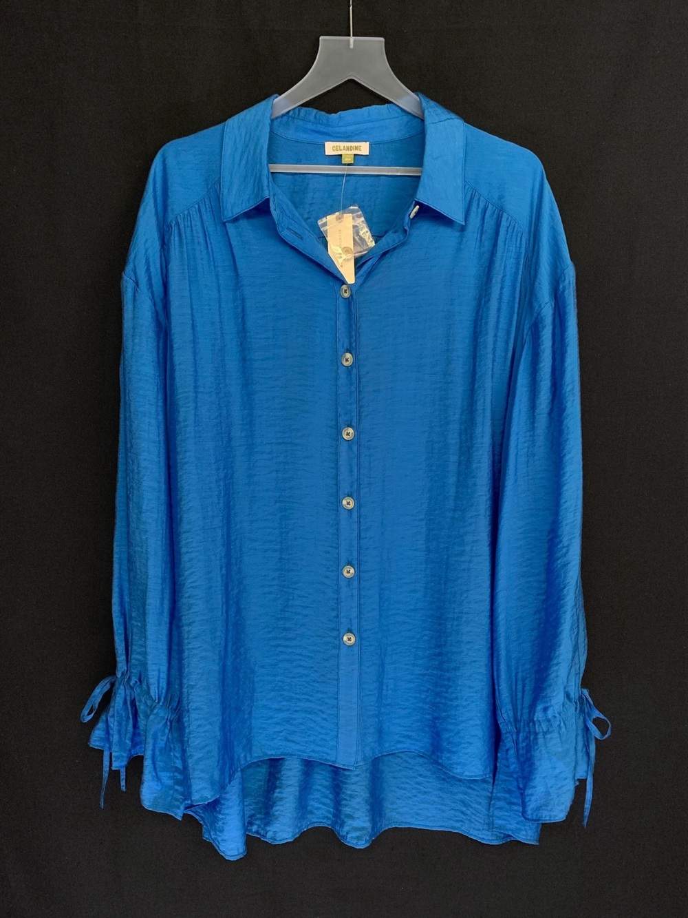 CELANDINE from ANTHROPOLOGIE Long Sleeve Button Down Blouse Shirt Coverup LARGE